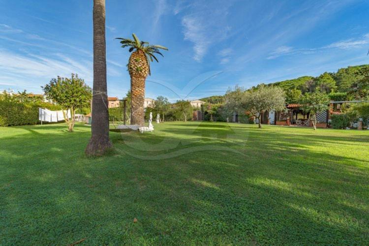 Apartmán Albero Del Pepe 2 - Goelba Marina di Campo Exteriér fotografie